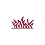 newlaunch.webp