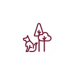newlaunch.webp